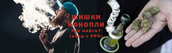 гидропоника Алзамай