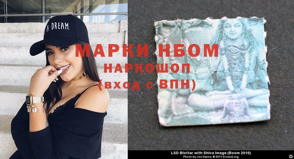 ГАЛЛЮЦИНОГЕННЫЕ ГРИБЫ Алексин