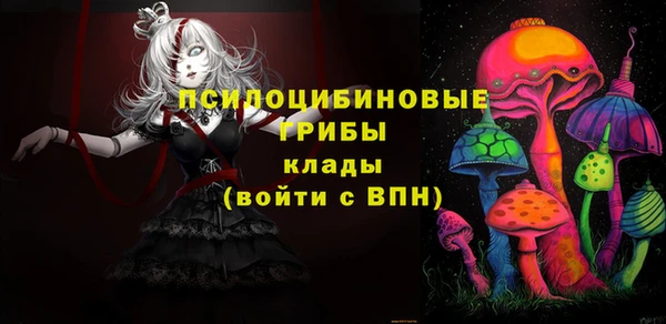 круглые Няндома