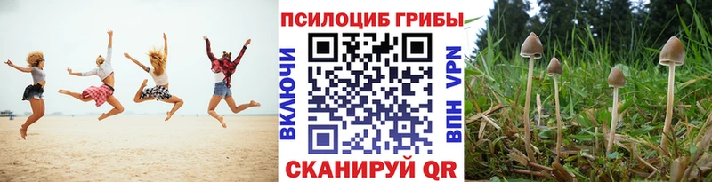 где найти Суровикино kraken онион Галлюциногенные грибы мицелий